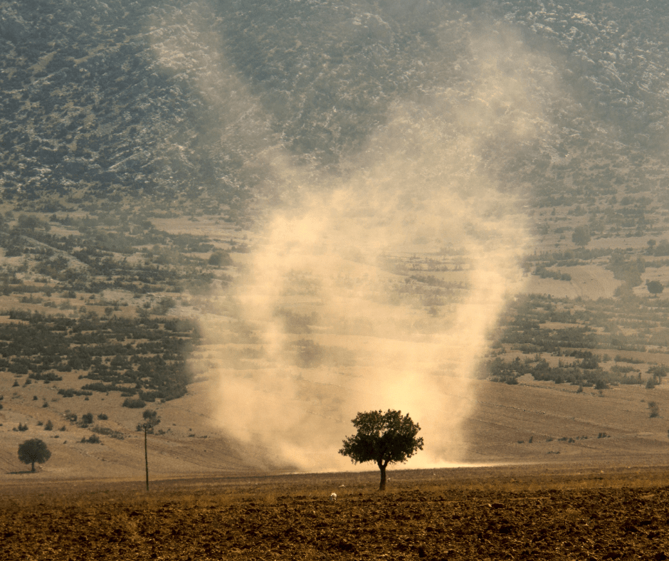 The Journey of Dust: A Timeless Traveler