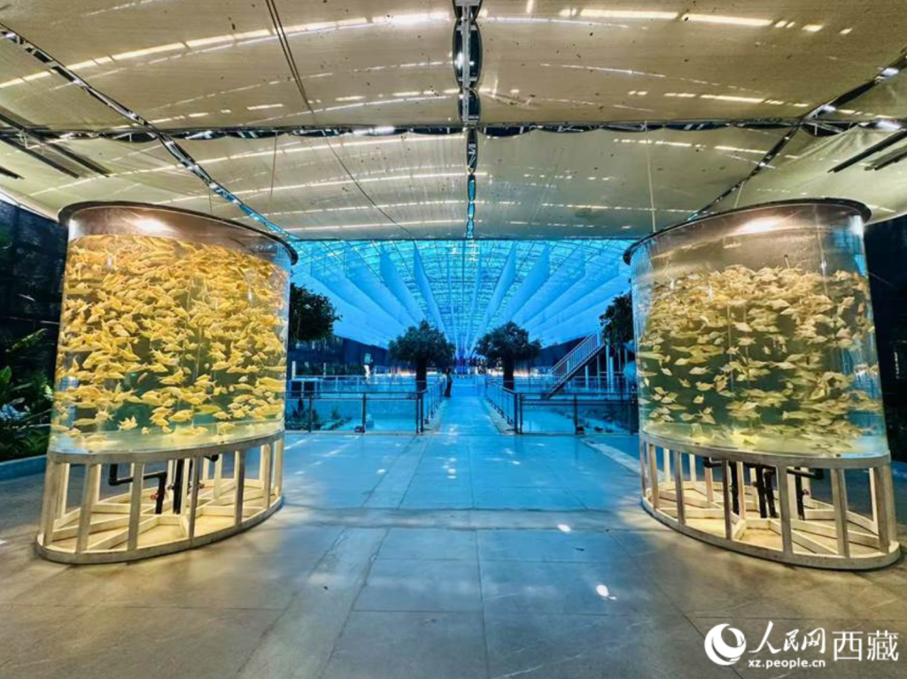 Green Initiatives Spur Tourism Growth in Southwest China