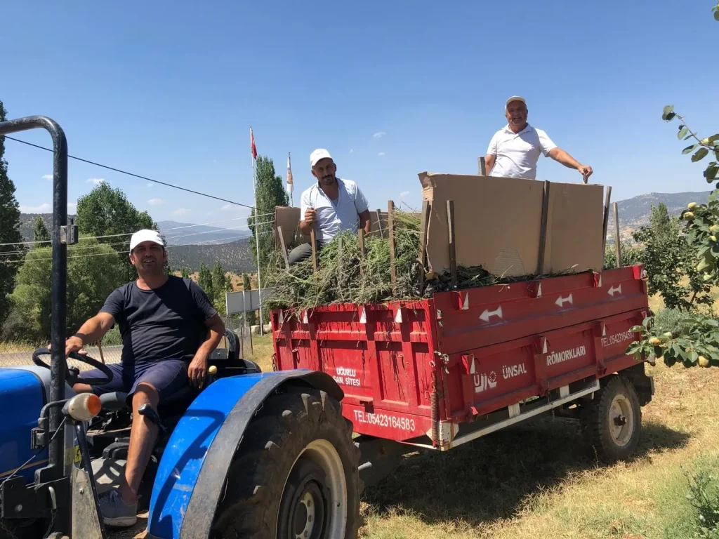 Lavender Harvests, Boating Incidents, and Fethiye Infrastructure Developments