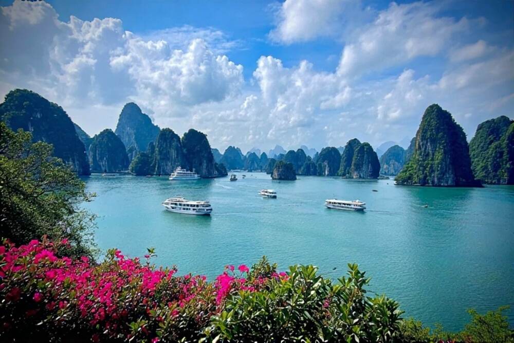 Vietnam’s Tourism Surge: Over 12 Million Visitors in 2025 on Track for 25 Million by Year-End