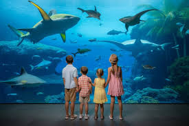 Marine Safari Bali Launch by Taman Safari Indonesia Welcomes Indian Visitors with Immersive Marine Zones