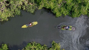Exploring Fort Myers: A Haven for Nature and Outdoor Activities on Florida’s Coast