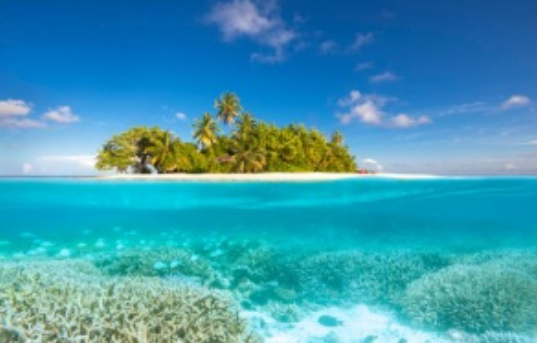Discover the 2026 Hidden Travel Gems: Sierra Leone’s Tiwai Island and More Await