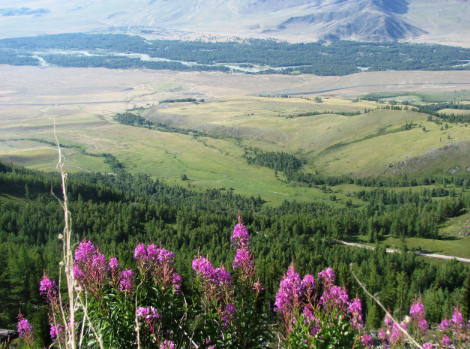 The Remarkable History and Scenic Journey of the Old Austrian Road in East Kazakhstan
