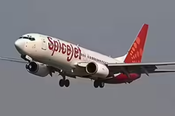 SpiceJet Faces Rs 234 Crore Q1 Loss Amid Revenue Drop and Fleet Changes