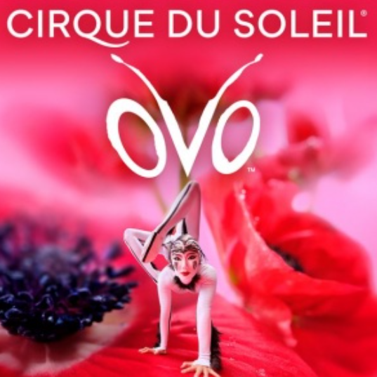 Experience the Magic of Cirque du Soleil’s ‘Ovo’ Back at Royal Albert Hall with Convenient Travel