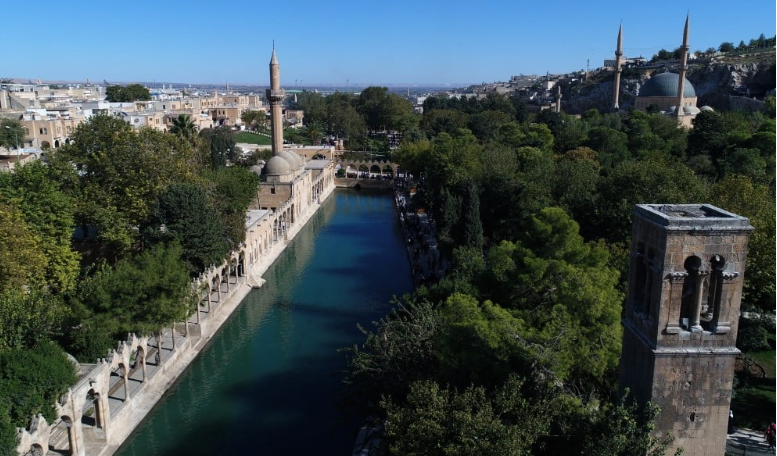 Exploring Şanlıurfa and the Legendary Balıklıgöl – The Pool of Sacred Fish
