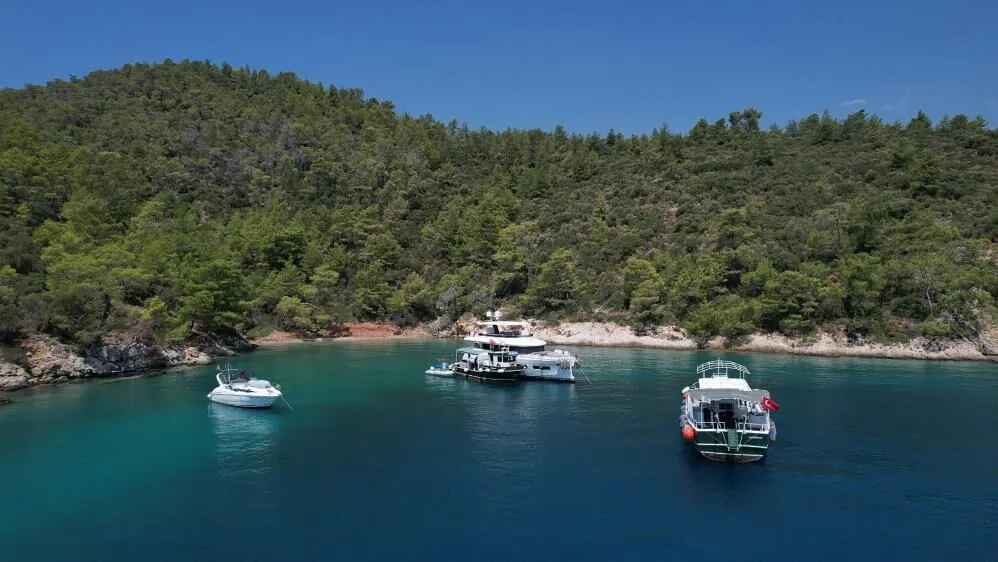 Fethiye’s Week in Review: From Firefighting Efforts to Coastal Conservation and Market Challenges