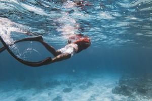 Maldives Tourism Nears Record Visitor Numbers Following Worldwide Recognition