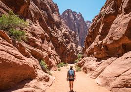 How Red Dot Representations Strengthened Tourism Partnerships Across Ahmedabad, Bengaluru, and Chennai