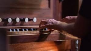 Experience Madeira’s Captivating Organ and Mandolin Festivals This October 2025