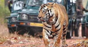 Jharkhand’s Maiden Tiger Safari Project Near Betla Promises New Wildlife Experiences and Local Opportunities
