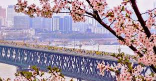 Journey Through the World’s Unique Marathons: How Destination Running Tourism Blossoms Globally