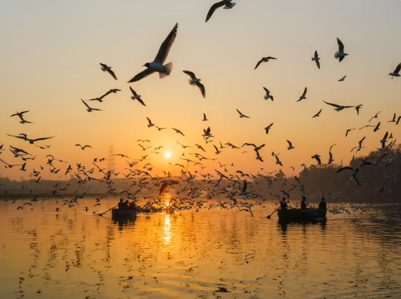 Yamuna River Cruise on Track for Late November Launch to Boost Delhi Tourism and Recreation