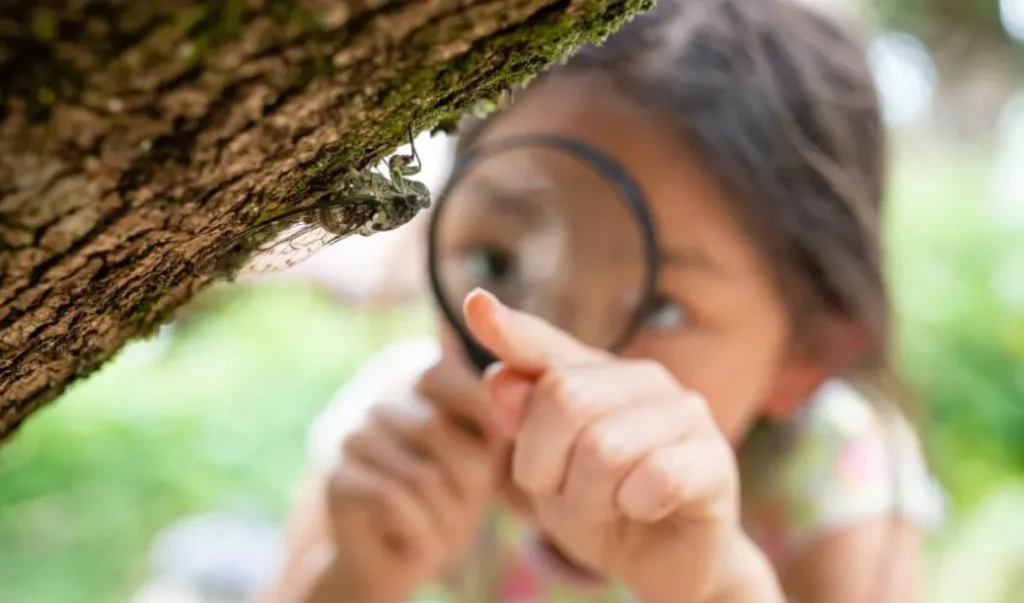 The Emerging Popularity of Micro-Safaris: Discovering Nature’s Hidden Gems Beyond the Big Five