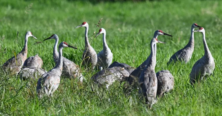 Three Off-the-Map Wisconsin Destinations That Offer Peace Away from Busy Tourist Trails