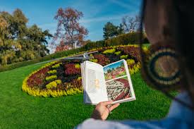 Explore Geneva’s Timeless Craft: The Geneva Watchmaking Guide Unveiled for Tourists