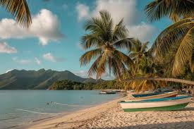 Jamaica’s Urgent Recovery Efforts Ahead of Peak Tourism Season Following Hurricane Melissa