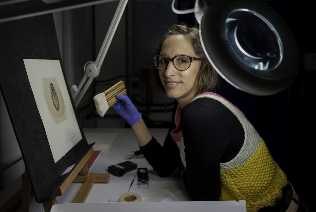 Behind the Scenes with Conservators: Exploring the Craft of Preserving History and Art
