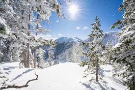 Exploring the Economic Ripple Effects of Ski Tourism on Amarillo and Lubbock’s Hospitality Scene