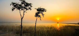 VFS Global Academy’s Community Upskilling Initiative at Debrigarh Wildlife Sanctuary Elevates Eco-Tourism Standards