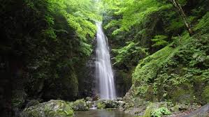 Exploring the Best Day Trip Hiking and Nature Trails Just Outside Tokyo
