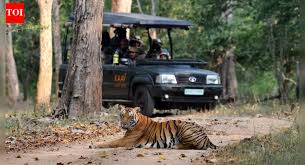 Karnataka’s Safari Ban Hits Tourism Hard; Calls for Immediate Reopening of Bandipur and Nagarahole Reserves