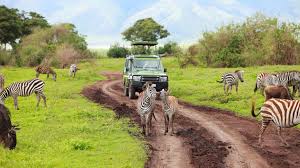 Tanzania’s Tourism Triumphs in 2025 and Plans for Future Growth Highlight Travel Opportunities