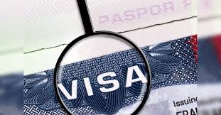 International Student Numbers at US Colleges Drop by 17% Amid Visa and Travel Hurdles