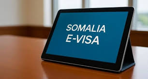 Understanding Somalia’s E-Visa Data Breach and Its Impact on U.S. Travelers