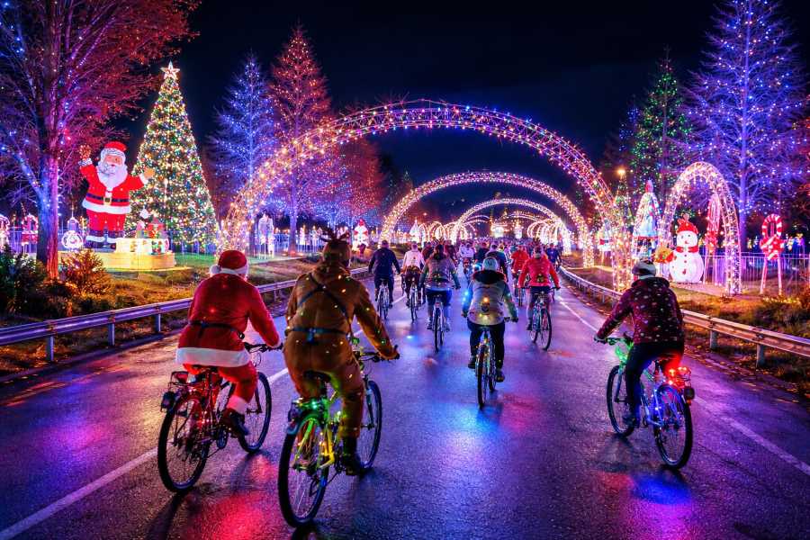 Illuminate Your Portland Winter Adventure: Cycle Through the City’s Famous Winter Wonderland