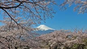 India drives inbound growth to Japan in 2025 with more than 315,000 arrivals