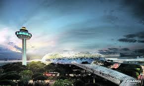 Changi Airport’s 2025 Surge: New Routes, Strong Cargo, India in Top Five